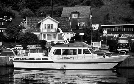 Hvenhild på Ven 1991-07-26