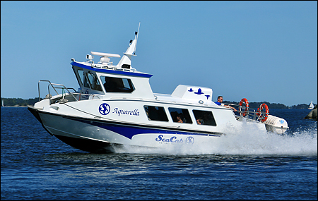 Aquarella vid Hamn, Möja 2008-07-30