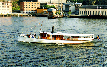 Arona utanf�r Finnboda, Nacka 2003-06-04