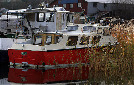 Athena i Hemviken, Tynning� 2007-11-17
