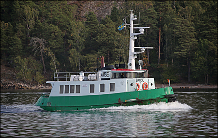 Bamse vid Grävlingsberg, Nacka 2016-09-13