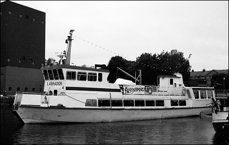 Labrador i Nyk�ping 1990-07-24