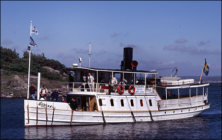 Ejdern vid Styrs� Bratten, G�teborg 2005-06-22