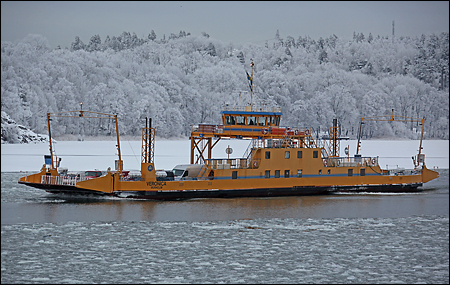 Veronica utanfr Slagsta, Ekerleden 2010-01-15