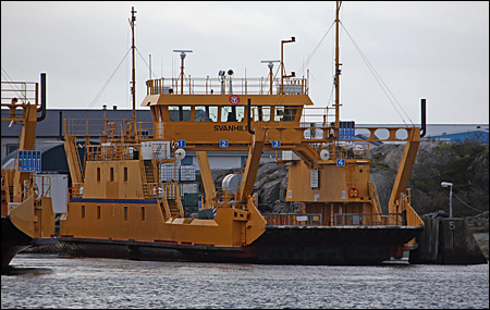 Svanhild vid H�n� f�rjel�ge, H�n� 2012-11-08