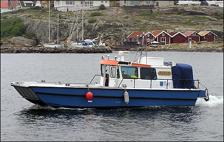 Renvik i Kungshamn 2010-07-15