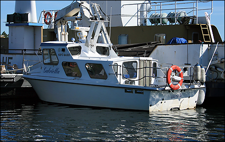 Gabriella vid Norra Svarts�, Svarts� 2008-07-30