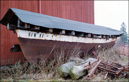 Haneberg upplagd i Balsta, Eskilstuna 1995