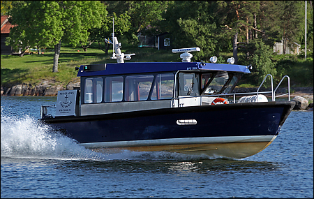 Gladan vid Sk�ggaudd, Lindalssundet 2009-06-09