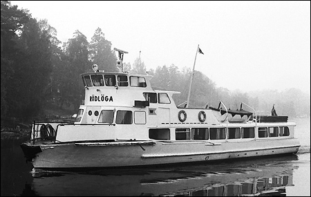 Rödlöga vid Knapens hål, Saltsjöbaden 1971-05-27