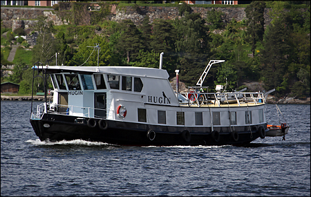 Hugin i Halvkakssundet, Stockholm 2011-05-29