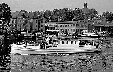 Svan vid Skeppsholmen, Stockholm