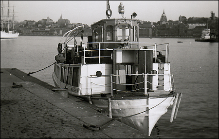 Måsen vid Strömkajen, Stockholm 1964-05-26