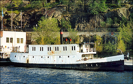 Ragvald vid S�der M�larstrand, Stockholm 2004-05-08