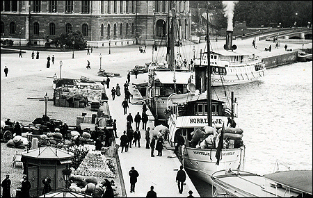 Norrtelje vid Sdra Blasieholmshamnen, Stockholm ca. 1892