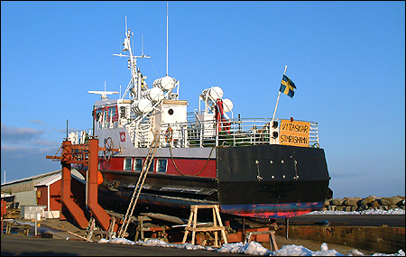 Vitask�r p� Skillinge varv 2004-02-29