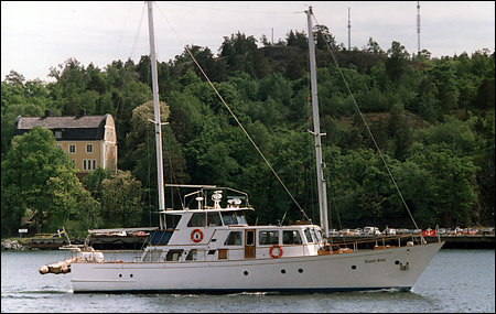 Royal Star utanfr Nacka Strand, Nacka 1991-06-17