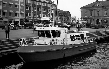 Rubus i Strmstad 1992-09-26