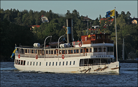 Norrsk�r vid H�gudden, Liding� 2010-08-28