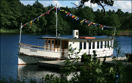 Svanen vid Almen�s brygga, Bor�s 2007-07-10