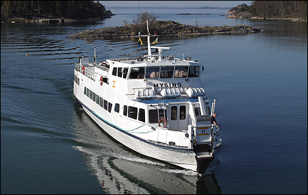 Mysing vid Spr�nga, Ut� 2006-05-08