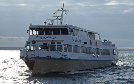 Sjögull vid Norröra brygga, Norröra 2009-06-05