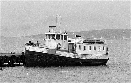 Bur� 1982