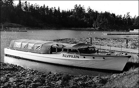 �lvpilen vid L�ck� slott, Lidk�ping 1974-05-11