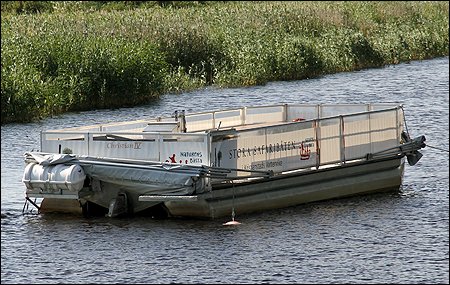 Stora Safaribten i Kristianstad 2013-07-24