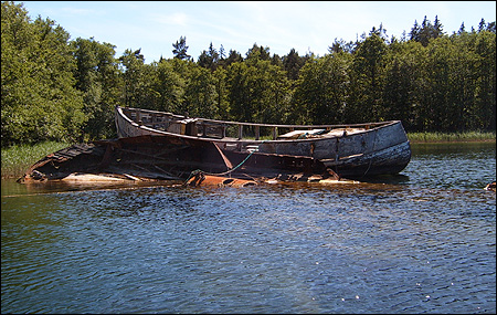 Strmfrjan 3 sjunken i Brunnsviken, Orn 2007-06-16