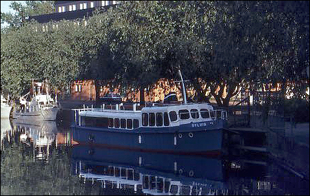 Sylvia i �rebro 1982