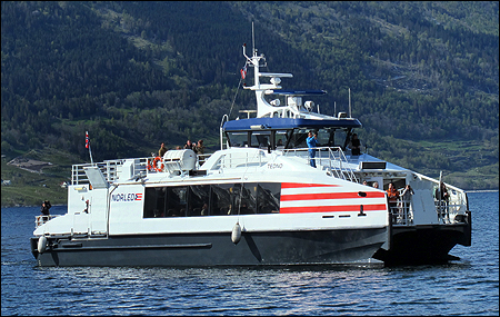 Tedno i Ulvikafjorden, Hardanger 2014-05-04