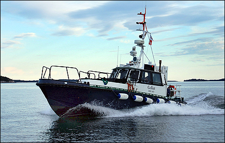 Goliat 2008-07-04