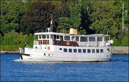 Rex av Stockholm vid Djurg�rden, Stockholm 2016-08-26