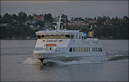 Viber� vid Fj�derholmarna, Stockholm 2024-08-04