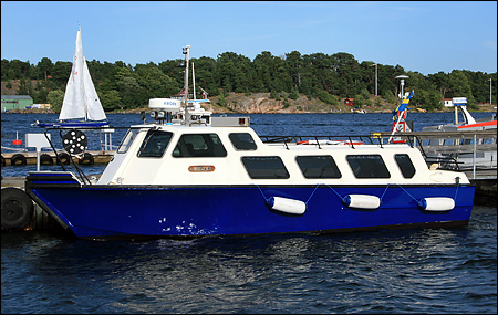 Vidar i Dalarö 2007-08-01